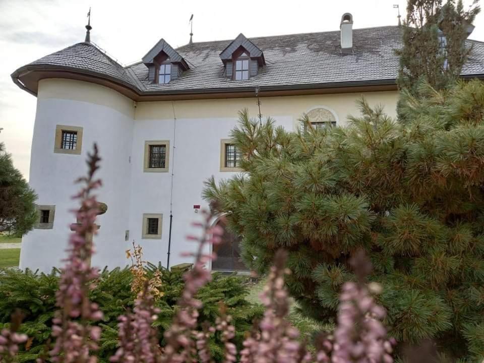 Castle Kastiel Kotesova 아파트 외부 사진