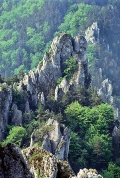 Castle Kastiel Kotesova 아파트 외부 사진
